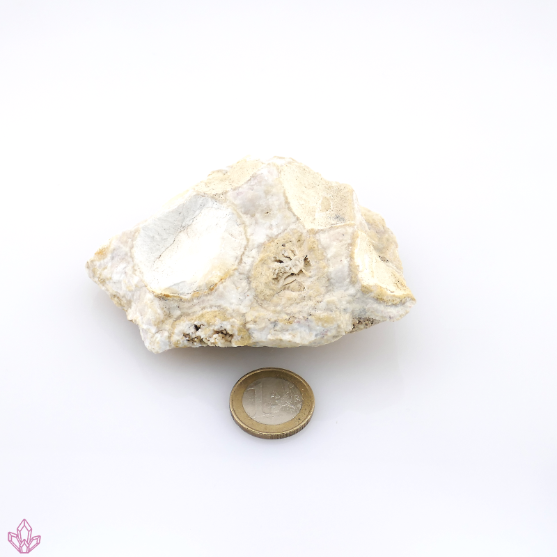 Korallenjaspis Einzelstück ca. 245g