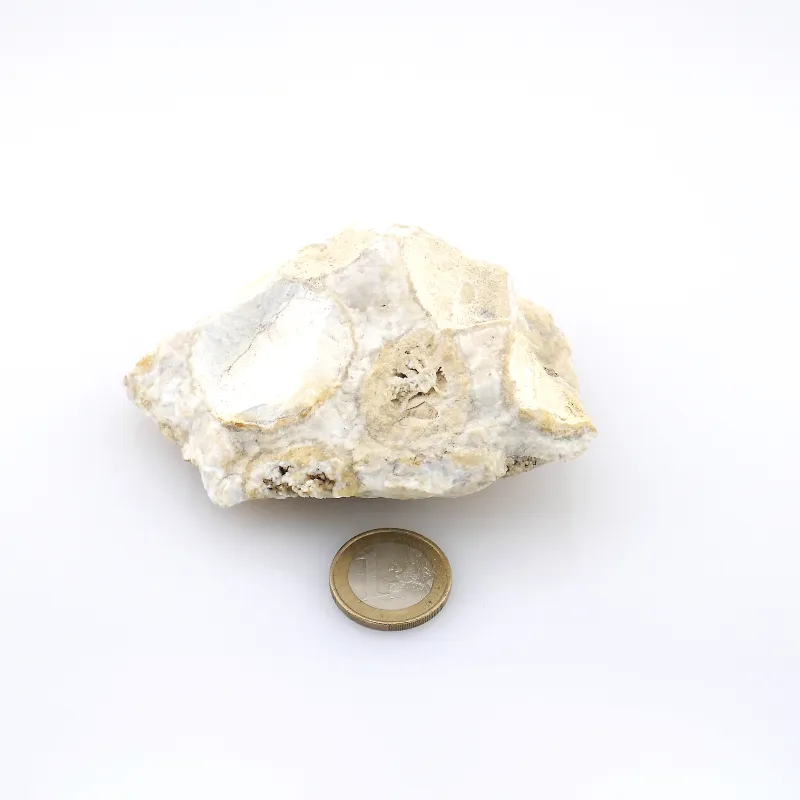 Korallenjaspis Einzelstück ca. 245g