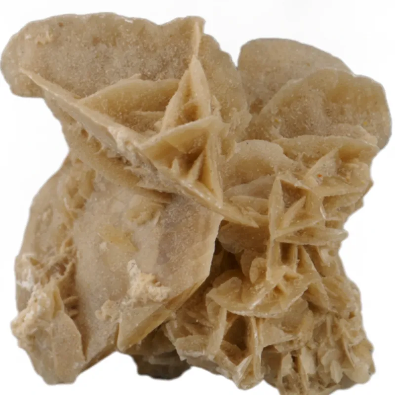Sandrosen Gipskristall – ca. 65x55 mm #416