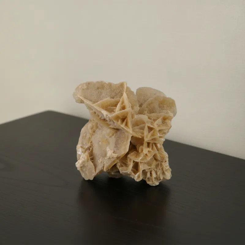 Sandrosen Gipskristall – ca. 65x55 mm #416