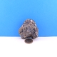 Pyrit mit Sphalerite (Zinkblende) ca. 173 g