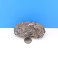Pyrit mit Sphalerite (Zinkblende) ca. 267 g