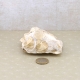 Korallenjaspis Einzelstück ca. 245g