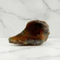 Sumatra-Bernstein ca. 7 g #561