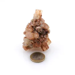 Aragonit Igel ca. 100 g