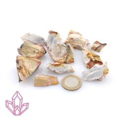 Regenbogen-Jaspis kleine Stücke ca. 100g