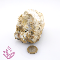 Korallenjaspis Einzelstück ca. 344g