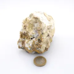 Korallenjaspis Einzelstück ca. 344g